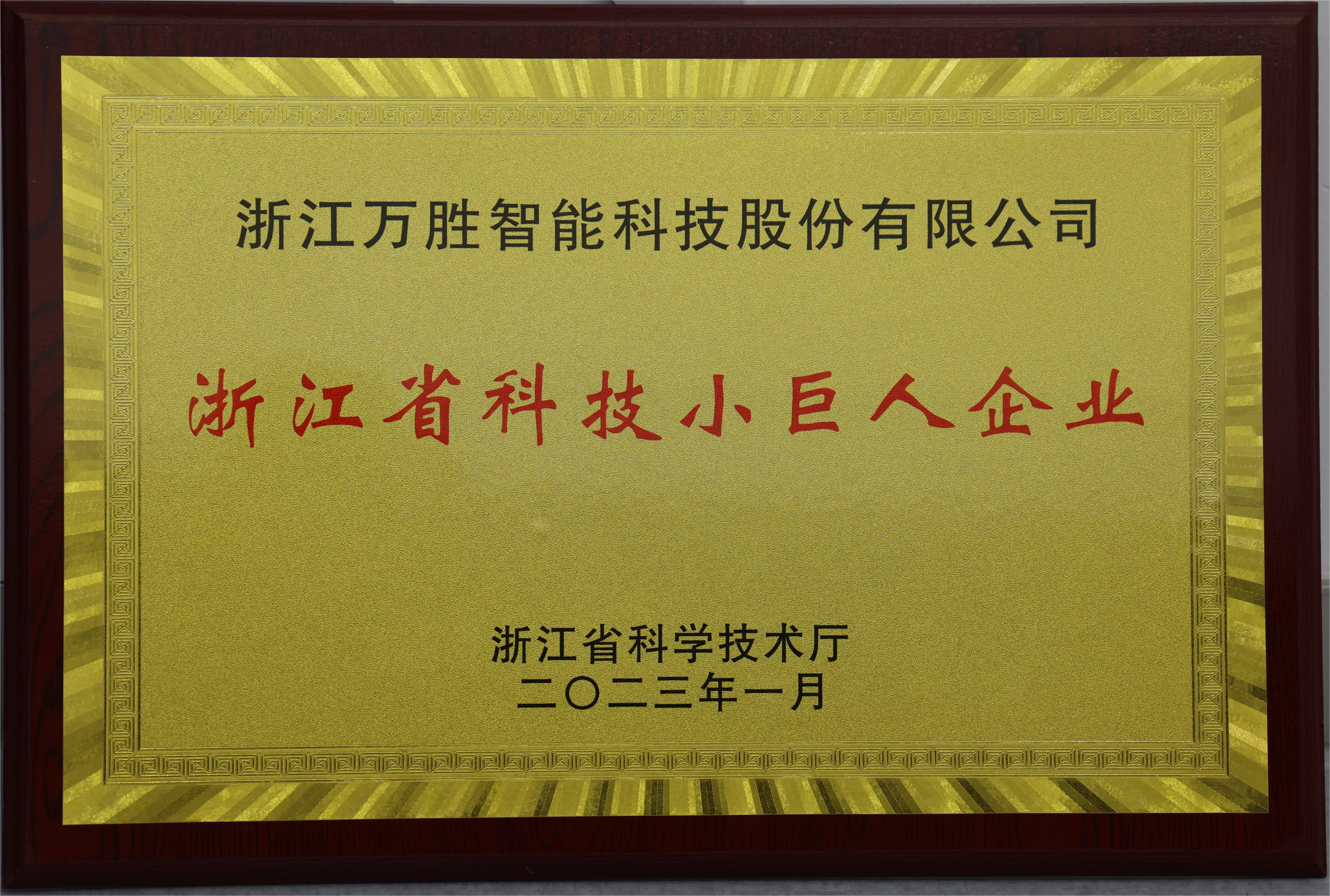 1、浙江省科技小巨人企业.JPG